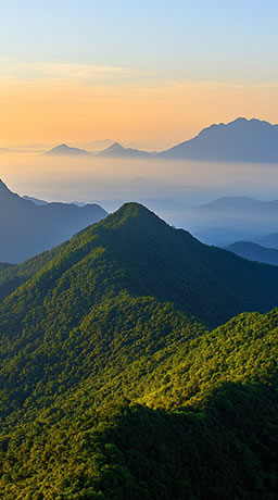 提供代加工服務(wù)